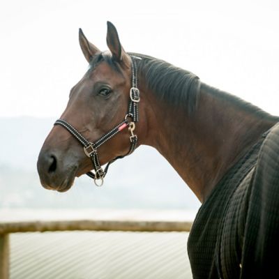Image showing  Cooper Polyester Halter with 6.5 ft. Rope Lead