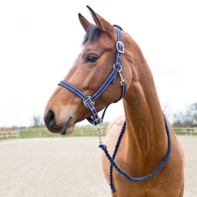 Horze Cooper Polyester Halter with 6.5 ft. Rope Lead