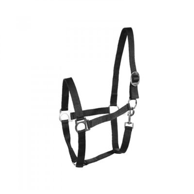 Horze Basic Polyester Horse Halter