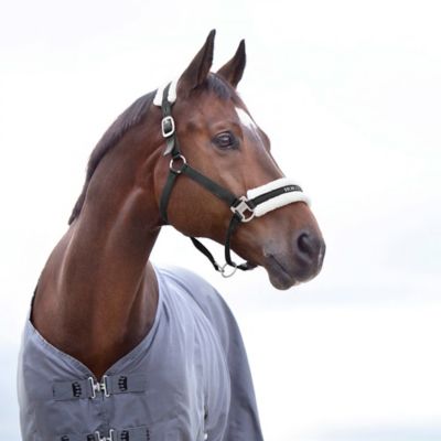 Horze Howard Nylon Fleece-Lined Horse Halter