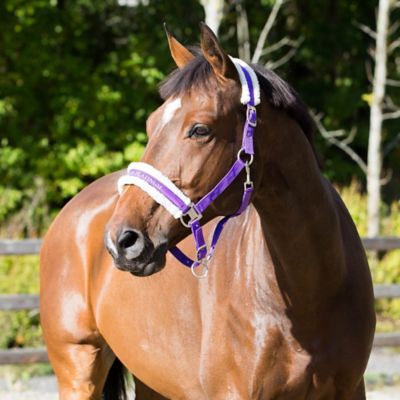 Horze Nylon Fleece-Lined Howard Horse Halter