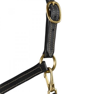 Image showing  Fremont Leather Horse Halter