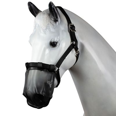 Image showing  Fly Cover for Nose