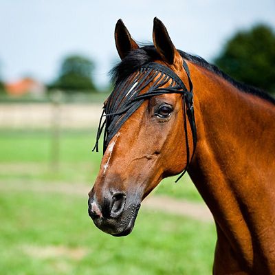 Horze Simple Horse Fly Veil