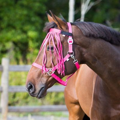 Image showing  Nylon Horse Fly Veil