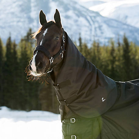 Horze Nevada Horse Turnout Neck Cover