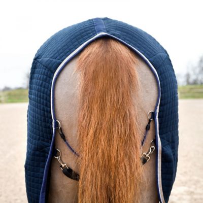 Image showing  Theo Thermo Wool and Acrylic Horse Stable Blanket