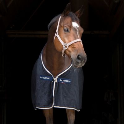 Image showing  Walter Horse Towel Sheet