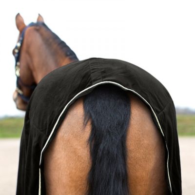 Image showing  Fleece Show Cooler Horse Sheet