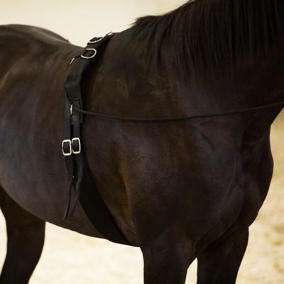 Image showing  Lunging Surcingle, Nylon