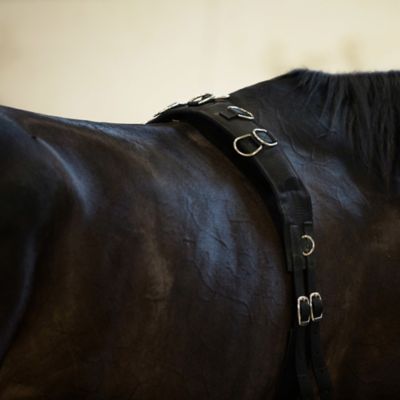 Image showing  Lunging Surcingle, Nylon