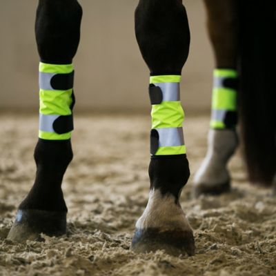 Image showing  Reflective Horse Leg Wraps, 2 pc.