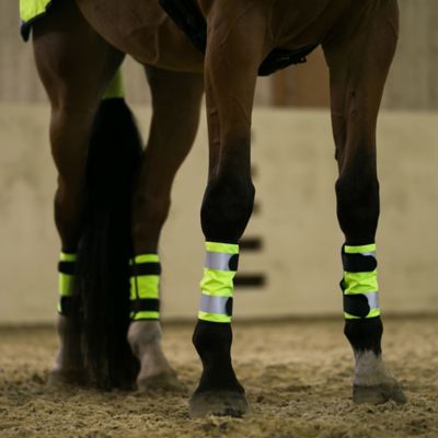 Image showing  Reflective Horse Leg Wraps, 2 pc.
