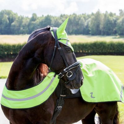 Image showing  Reflective Horse Harness, Neon Yellow