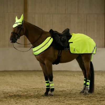 Image showing  Reflective Horse Harness, Neon Yellow