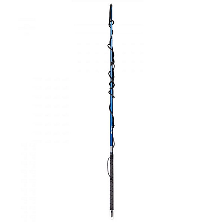 Horze Tunis Carbon Lunging Stock Whip, Blue