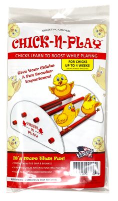 Pecking Order Chick-N-Play Toy
