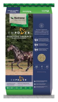 Nutrena Empower Digestive Balance Horse Supplement, 40 lb. Nutrena provided the essential nutritional needs this rescue horse so badly needed and reatored him to full health and saved the horses life!  