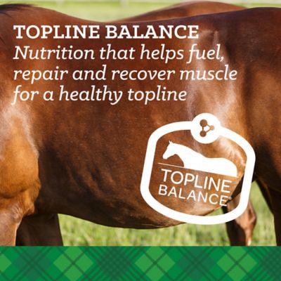 Image showing  Digestive Balance Horse Supplement, 40 lb.