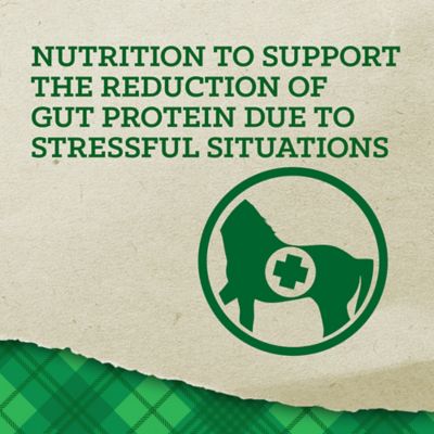 Image showing  Digestive Balance Horse Supplement, 40 lb.