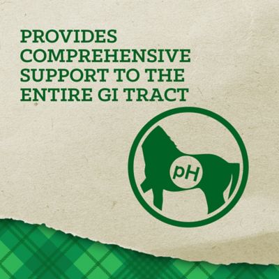 Image showing 5 th Nutrena Empower Digestive Balance Horse Supplement, 40 lb.