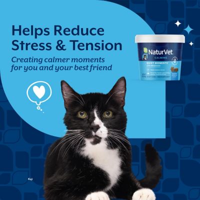 Image showing  Quiet Moments Calming Aid Chews for Cats with Melatonin, Thiamine, L-Tryptophan and Ginger, 60 ct.