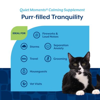 Image showing  Quiet Moments Calming Aid Chews for Cats with Melatonin, Thiamine, L-Tryptophan and Ginger, 60 ct.