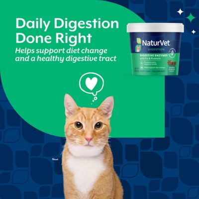 Image showing  Digestive Enzymes Plus Probiotic for Cats, 60 ct.