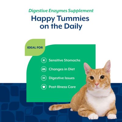 Image showing  Digestive Enzymes Plus Probiotic for Cats, 60 ct.