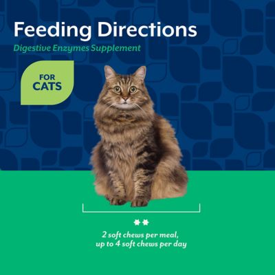 Image showing 5 th NaturVet Digestive Enzymes Plus Probiotic for Cats, 60 ct.