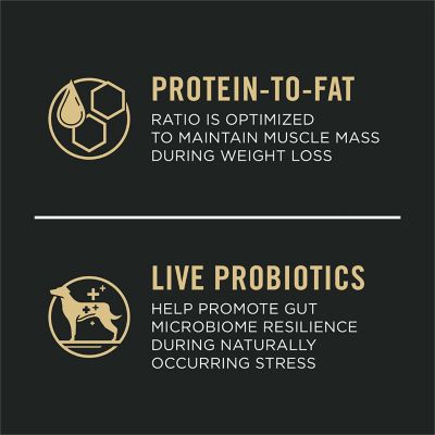 Image showing  Specialized Weight Management Shredded Blend With Probiotics Small Breed Dry Dog Food