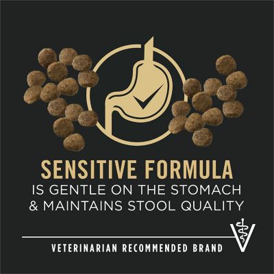 Image showing  Probiotic Sensitive Stomach Sensitive Skin & Stomach Salmon & Rice Formula Dry Puppy Food, 4 lb.