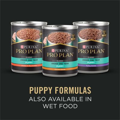 Image showing 8 th Purina Pro Plan Probiotic Sensitive Stomach Sensitive Skin & Stomach Salmon & Rice Formula Dry Puppy Food