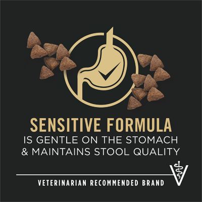 Image showing  Adult Small Breed Sensitive Skin and Stomach Salmon and Rice Formula Dry Dog Food