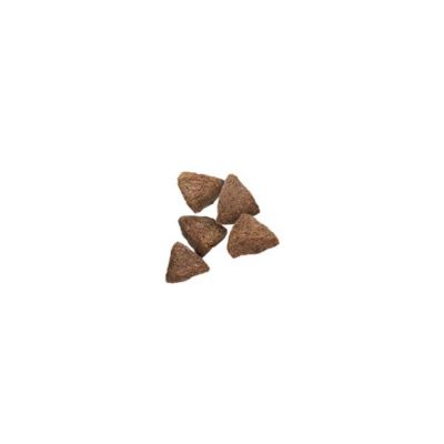 Image showing  Small Breed Adult Sensitive Skin and Stomach Salmon and Rice Formula Dry Dog Food