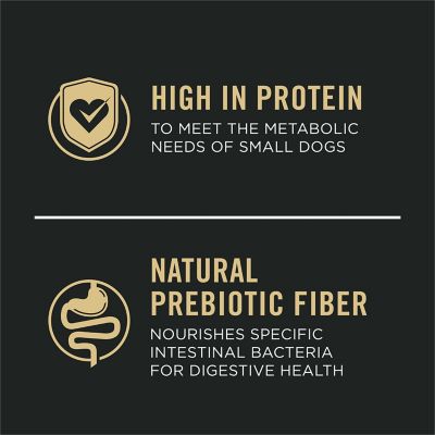 Image showing  Adult Small Breed Sensitive Skin and Stomach Salmon and Rice Formula Dry Dog Food