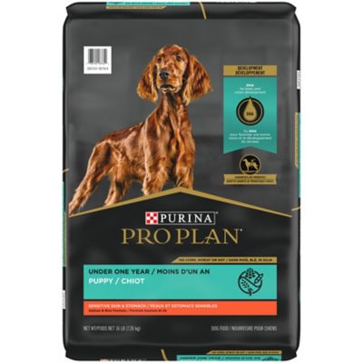 Purina Pro Plan Sensitive Skin and Stomach Puppy Food With Probiotics, Salmon & Rice Formula