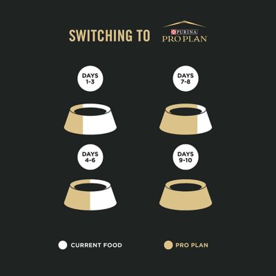 Image showing 7 th Purina Pro Plan Probiotic Sensitive Stomach Sensitive Skin & Stomach Salmon & Rice Formula Dry Puppy Food