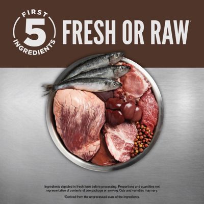 Image showing  Grain Free Regional Red Dry Cat Food