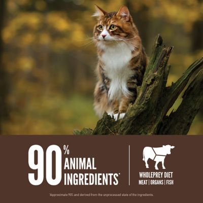 Image showing  Grain Free Regional Red Dry Cat Food