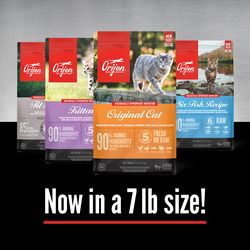 Image showing 5 th ORIJEN Six Fish Recipe Dry Cat Food, 12 lb.