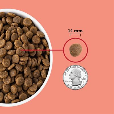 Image showing 4 th ACANA All Life Stages Red Meat Recipe Dry Dog Food