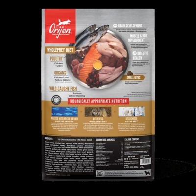 Image showing  Puppy High Protein Recipe Dry Dog Food