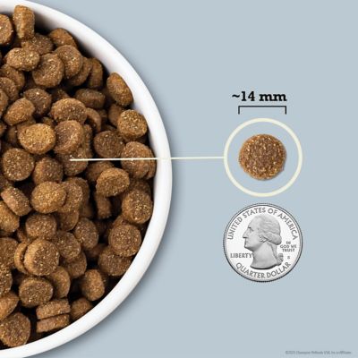 Image showing  Wholesome Grains All Life Stages Sea to Stream Fish and Grains Recipe Dry Dog Food