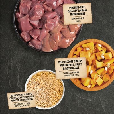 Image showing  Wholesome Grains All Life Stages Limited Ingredient Duck and Pumpkin Recipe Dry Dog Food