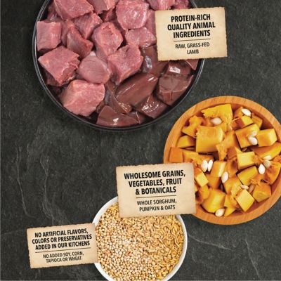 Image showing  Wholesome Grains All Life Stages Limited Ingredient Lamb and Pumpkin Recipe Dry Dog Food