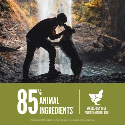 Image showing  Senior Dry Dog Food