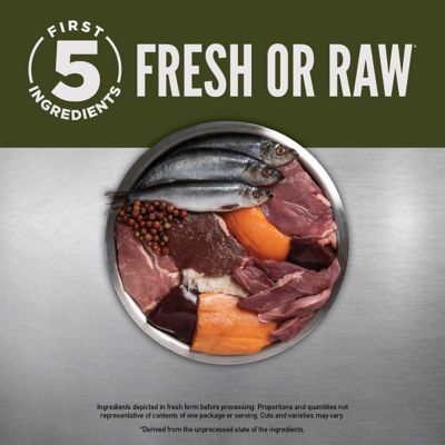 Image showing  Tundra Dry Dog Food