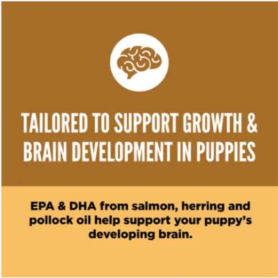 Image showing  Puppy High Protein Recipe Dry Dog Food