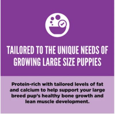 Image showing  Large Breed Puppy Chicken, Turkey and Wild-Caught Fish Recipe Dry Dog Food, 23.5 lb. Bag